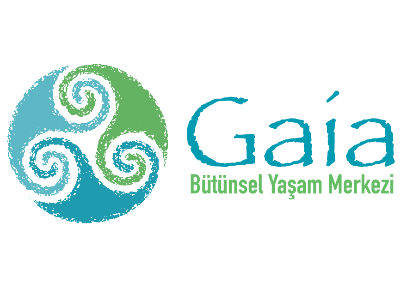 en uygun web design prices